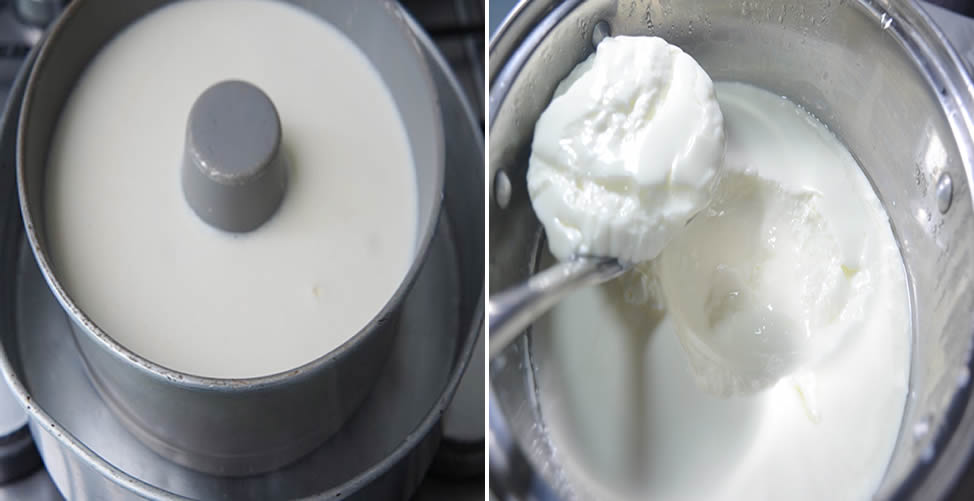 Como Fazer Iogurte Caseiro - Formas