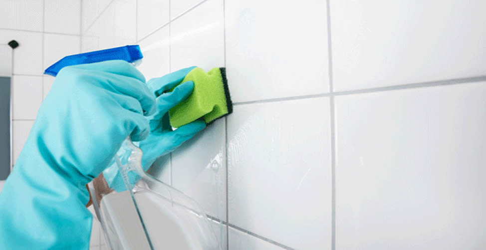 Como Limpar o Banheiro - Azuleijo