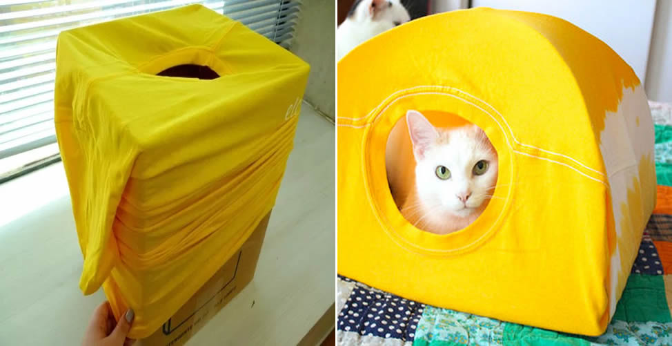 Como Reciclar Roupas Velhas - Cama de Gato