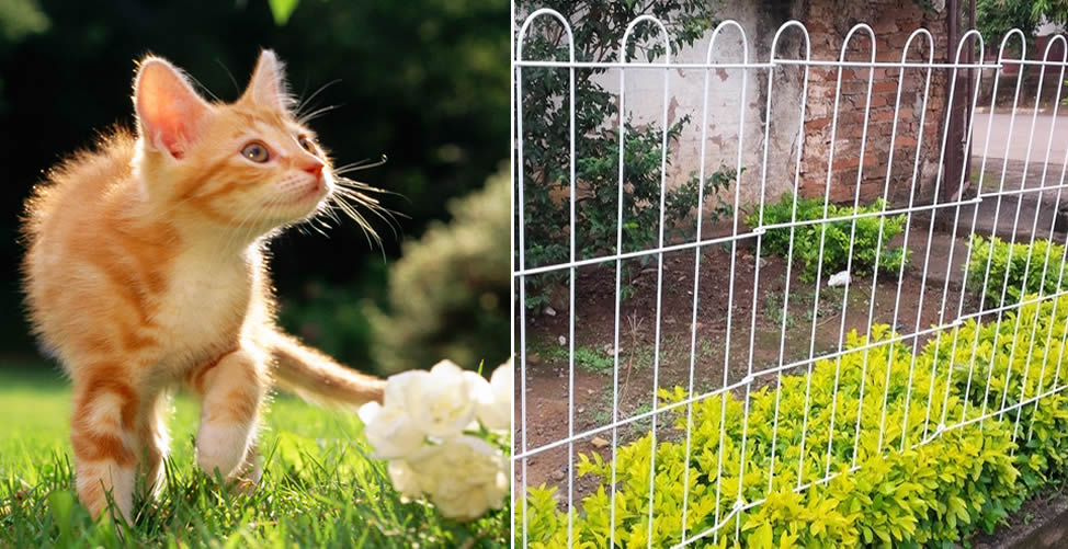 Repelente Para Gatos: Cercas No Jardim  
